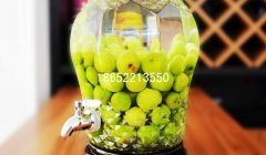 玻璃酵素瓶制作方法是什么？酵素的好處是什么？